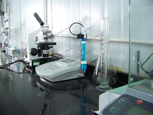 �������ƵČ����